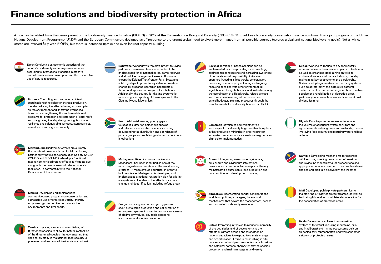 Finance solutions and biodiversity protection in Africa