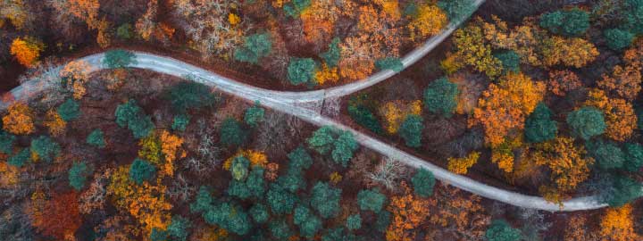 aerial view of forest roads in autumn