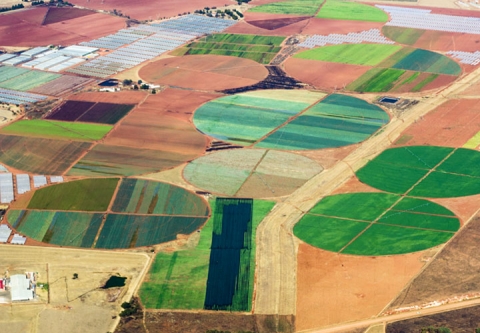 Green finance in Africa thumbnail image Green finance in Africa thumbnail image