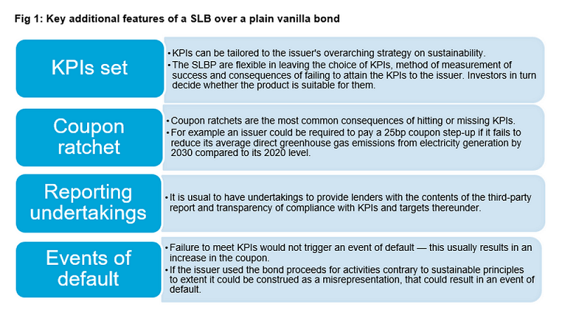 Key additional features of a SLB over a plain vanilla bond (chart)