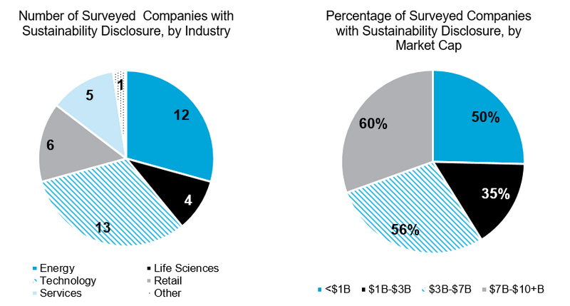 Sustainability Disclosure by Industry and Market Cap