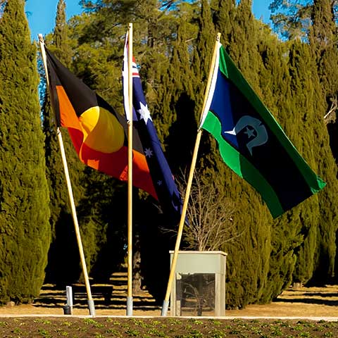 A photo of the three official flags of Australia on flagpoles in front of a tall green hedge, left to right: the Australian Aboriginal Flag,  the Australian National Flag, and the Torres Strait Islander Flag. 