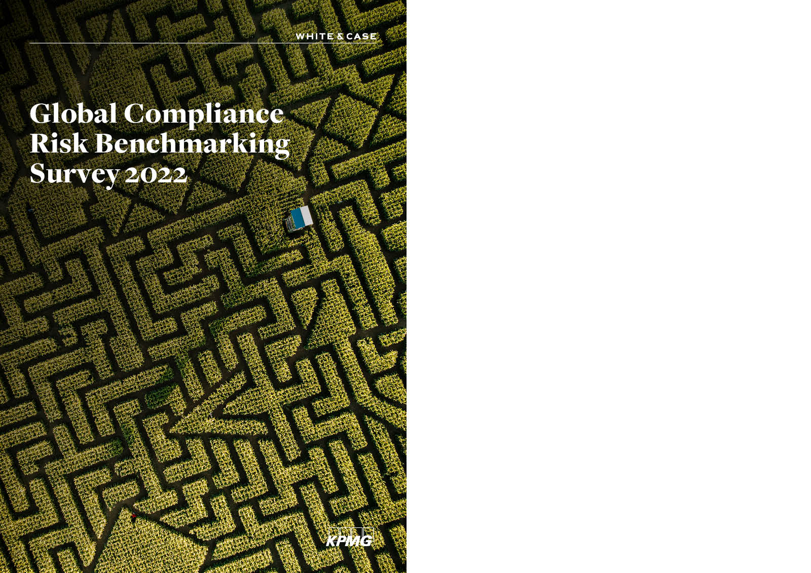 2022 Global Compliance Risk Benchmarking Survey