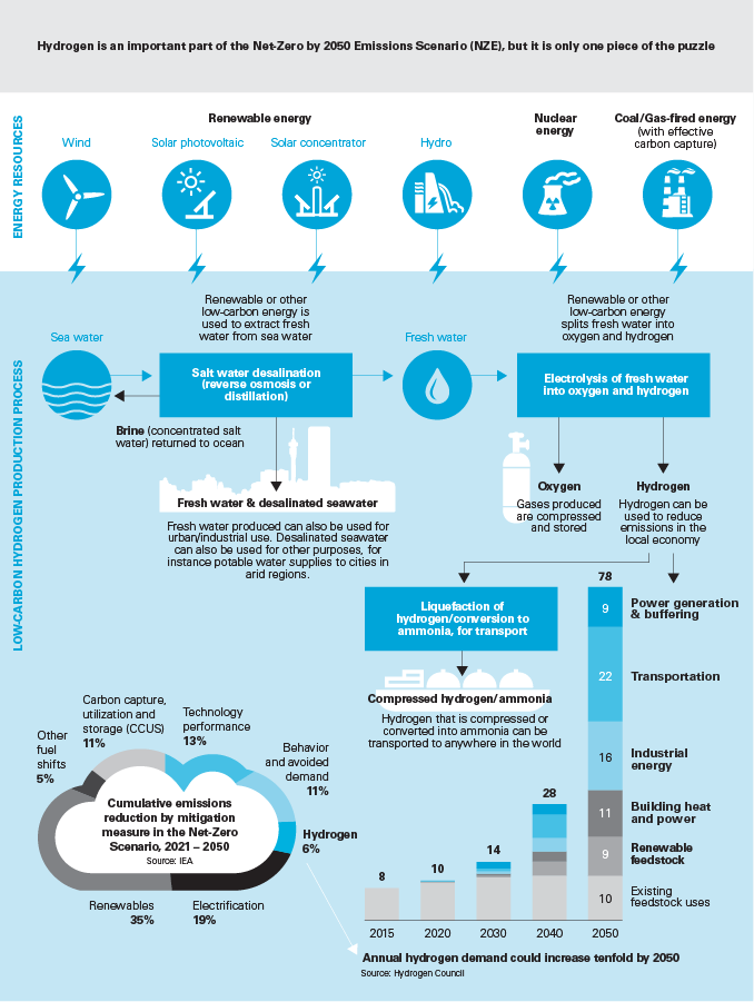 Hydrogen is an important part of the Net-Zero by 2050 Emissions Scenario (NZE), but it is only one piece of the puzzle