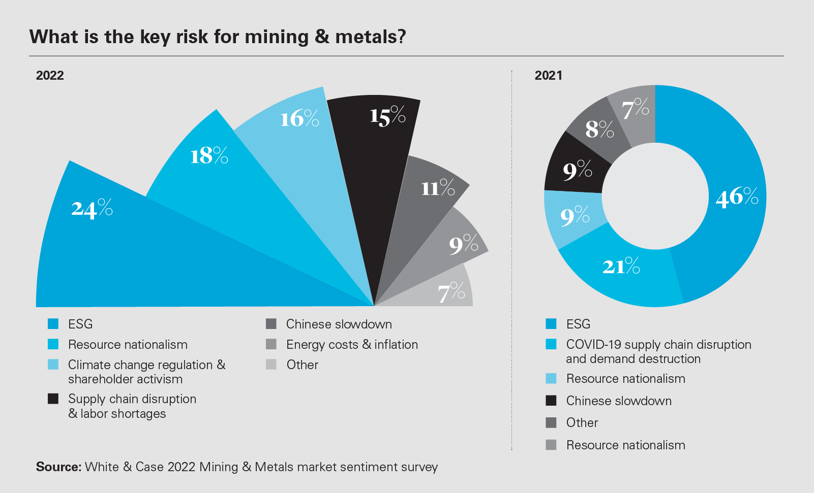 What is the key risk for mining & metals?