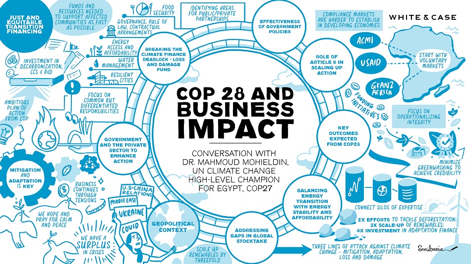 COP 28 and business impact infographic