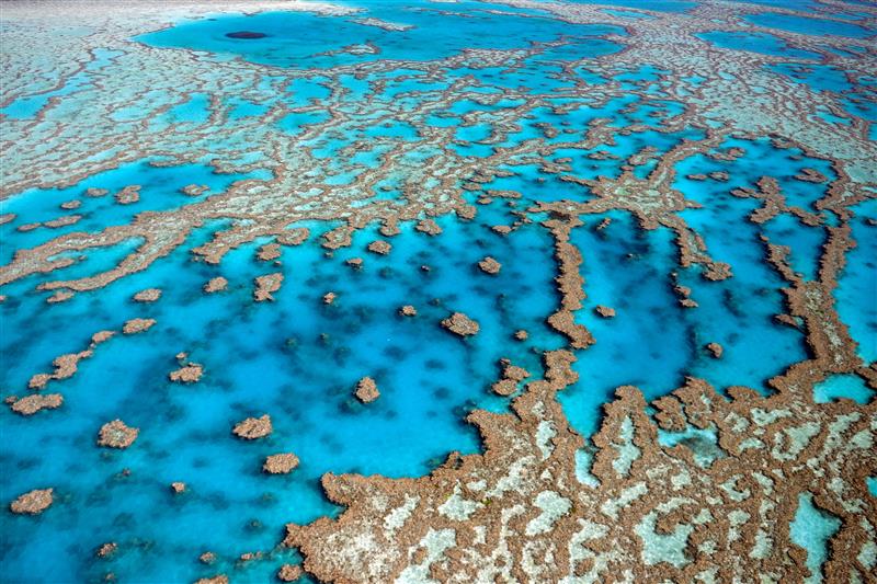 Environment & Climate Change