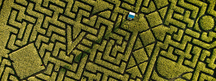 maze garden