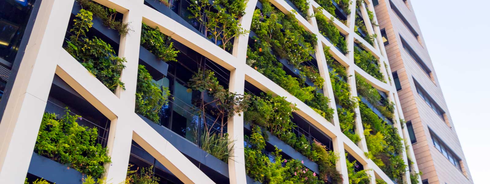 eco-friendly urban architecture