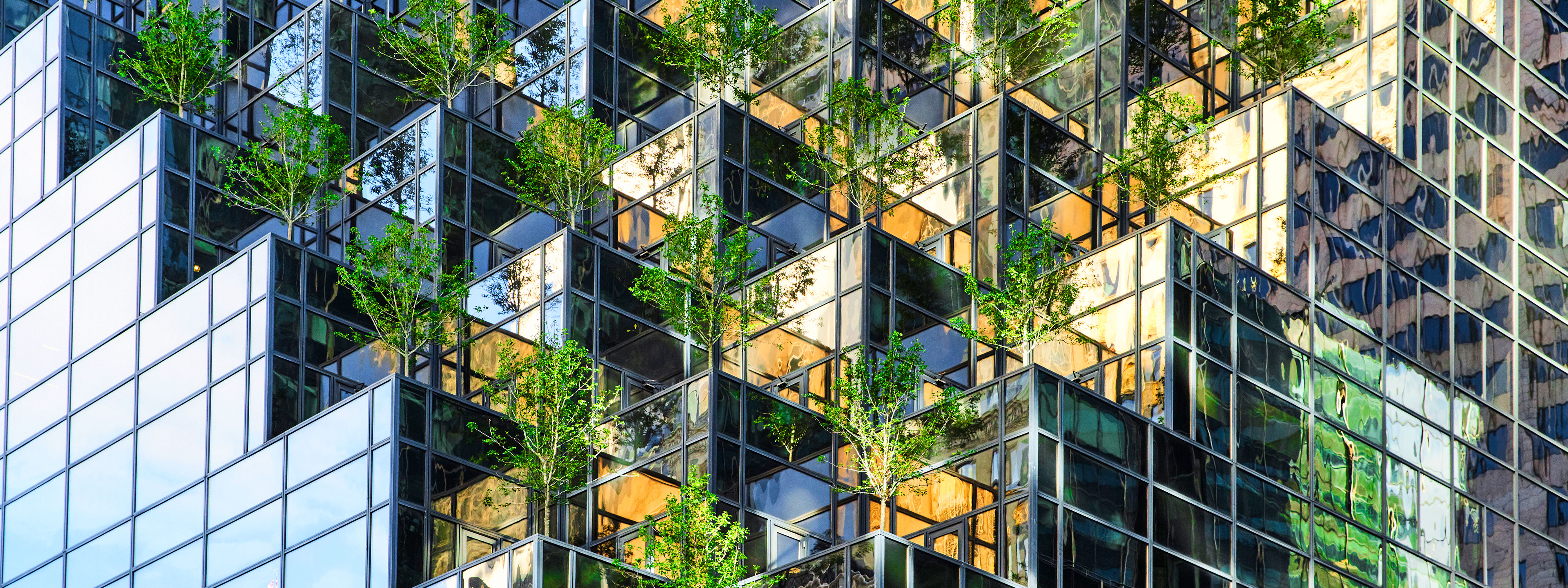 Building toward net-zero | White & Case LLP
