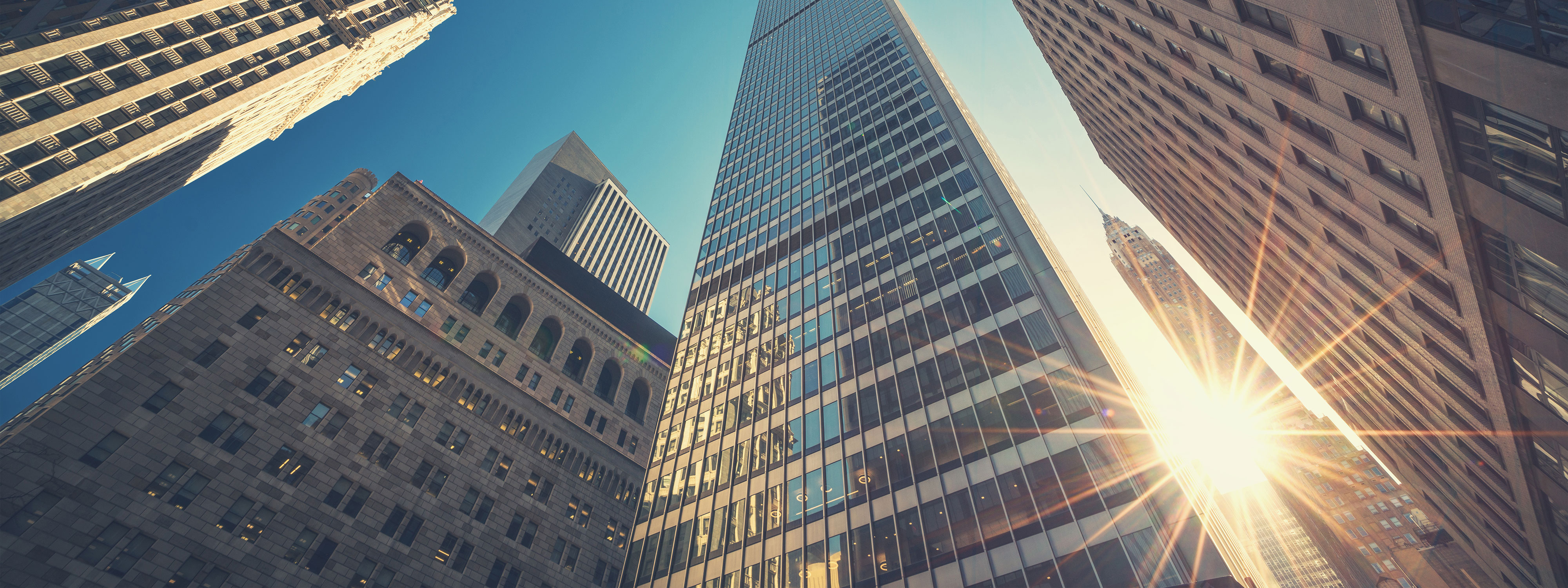 Regional Drivers In A Global Market White Case Llp