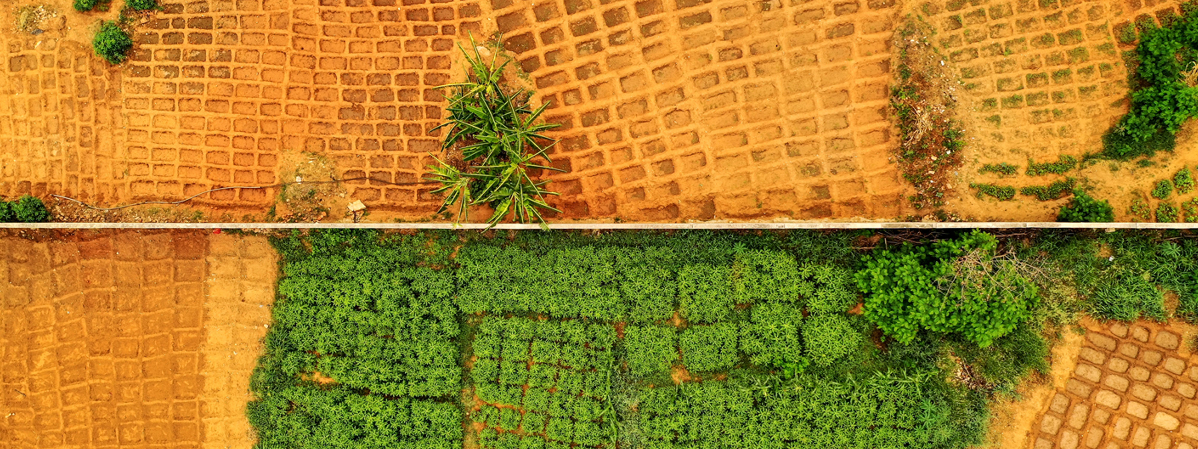Securing Africa’s future: Building resilient food and energy systems ...