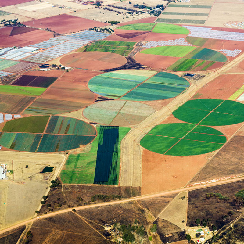 aerial photography of African fields