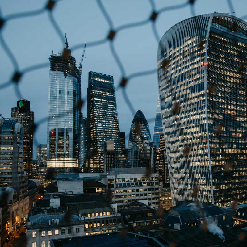 city lights fence