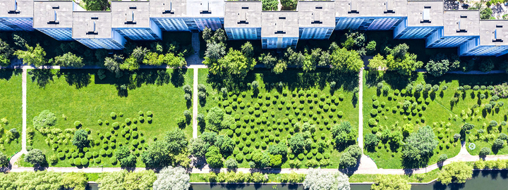 buildings and garden