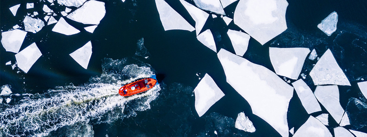 Arctic sea ice