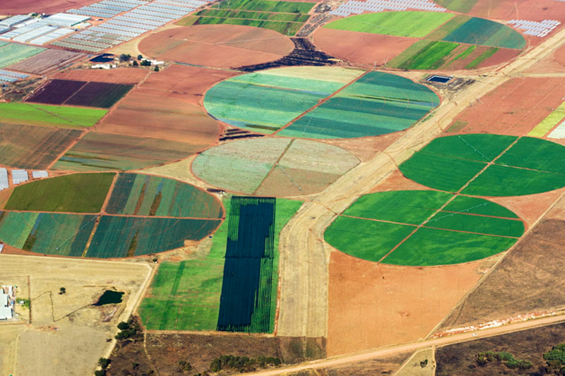 aerial photography of African fields