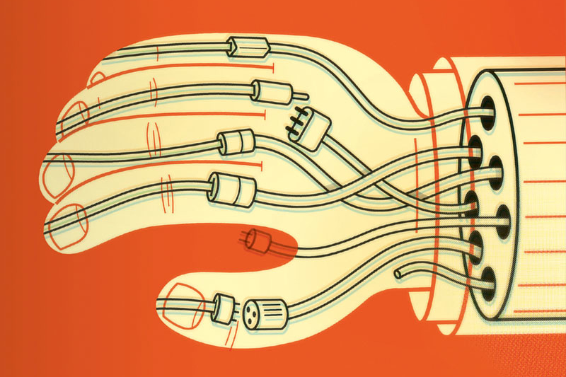hand anatomy
