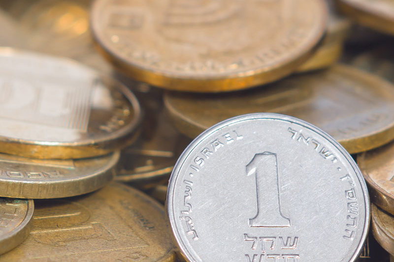 Israeli Shekel coins