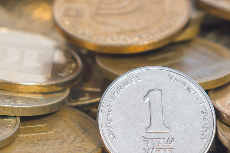 Israeli Shekel coins