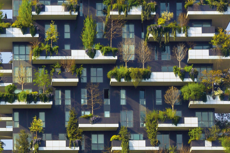 Building with trees