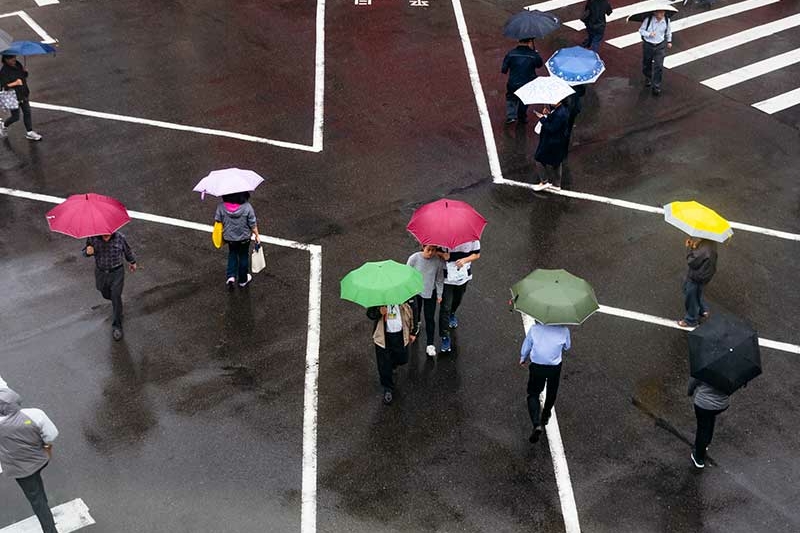 people with umbrellas on Taipei crosswalk