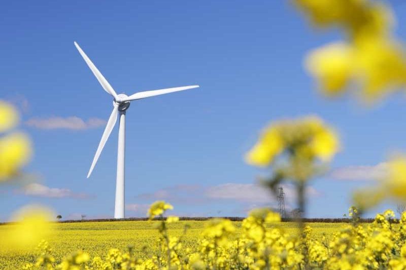 Wind turbine with flower field