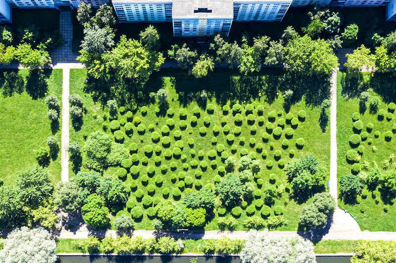 buildings and garden