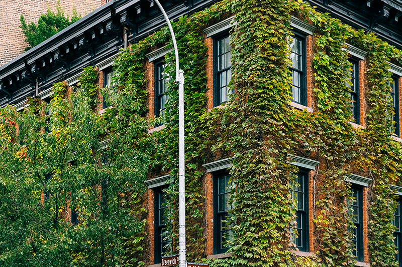 west village ivy building