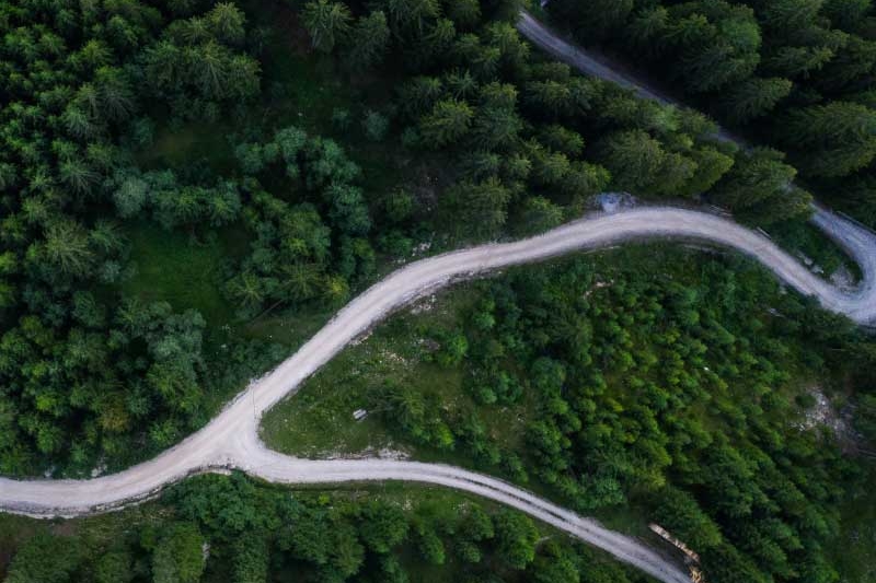 aerial view of forest roads
