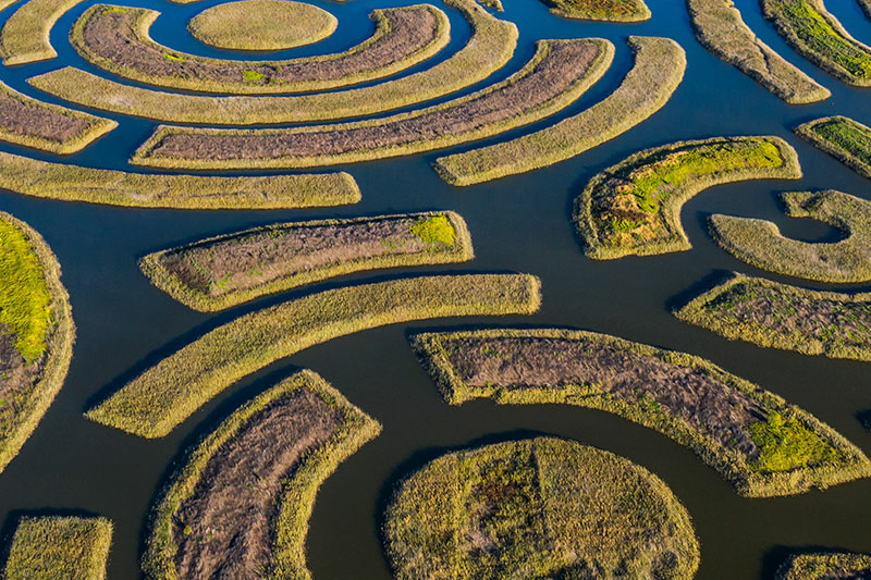 maze aerial view