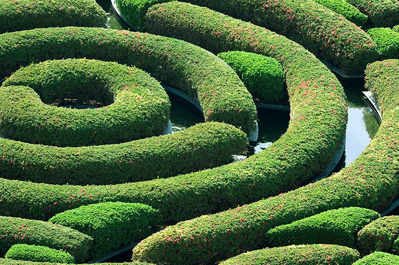 labyrinth garden