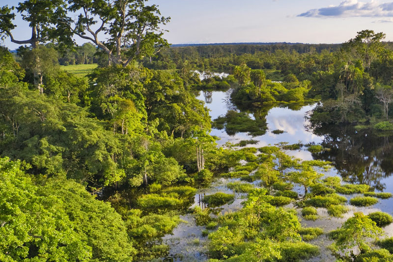 Aerial view of a river