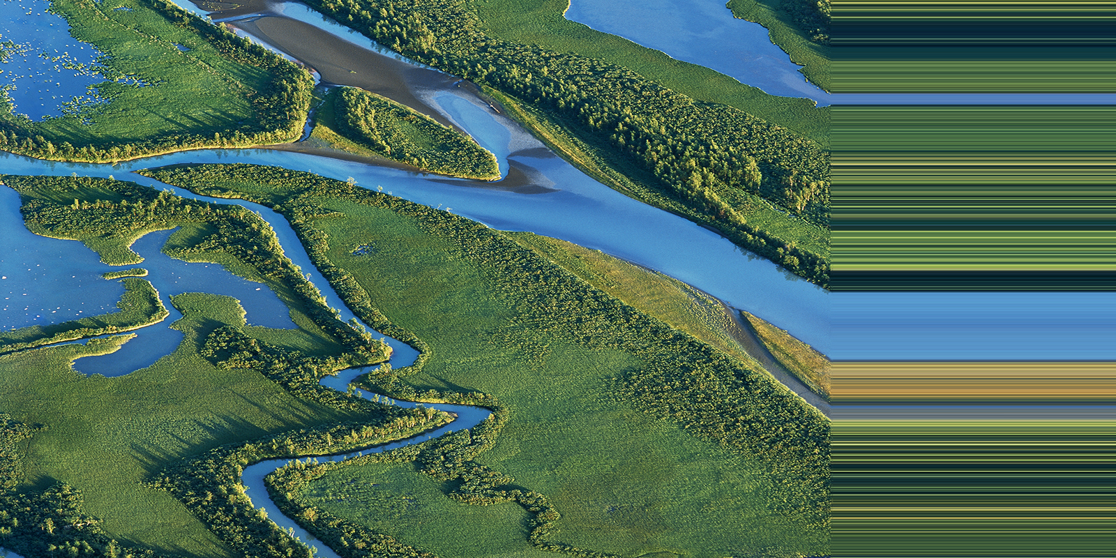 Sustainability & Responsible Business