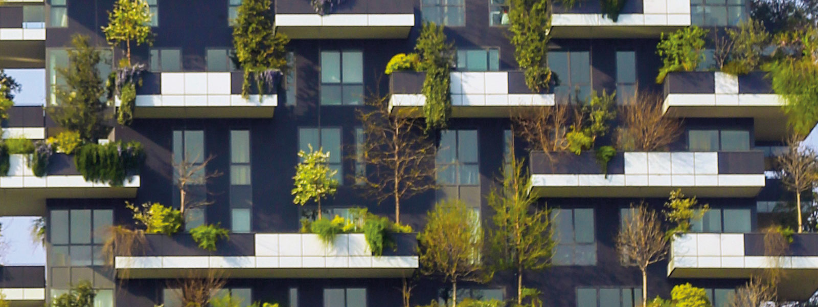 Building with trees