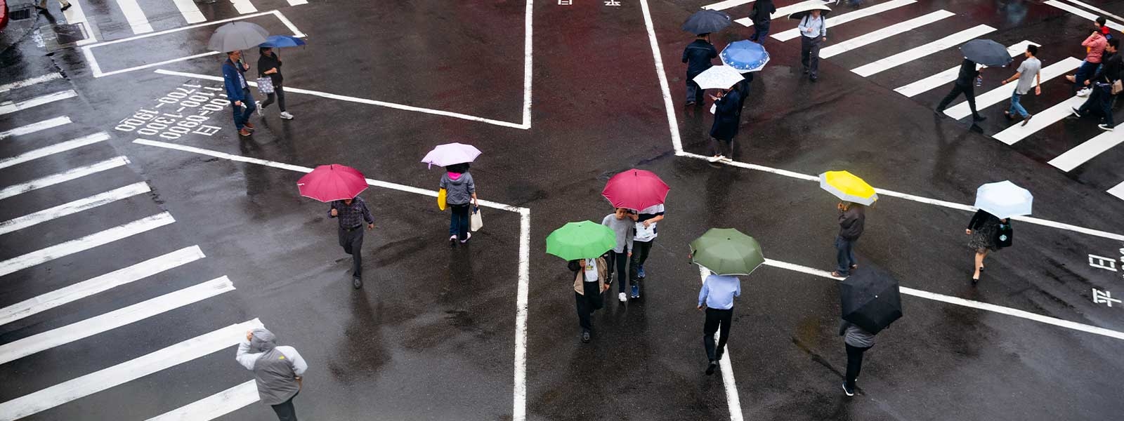 people with umbrellas on Taipei crosswalk