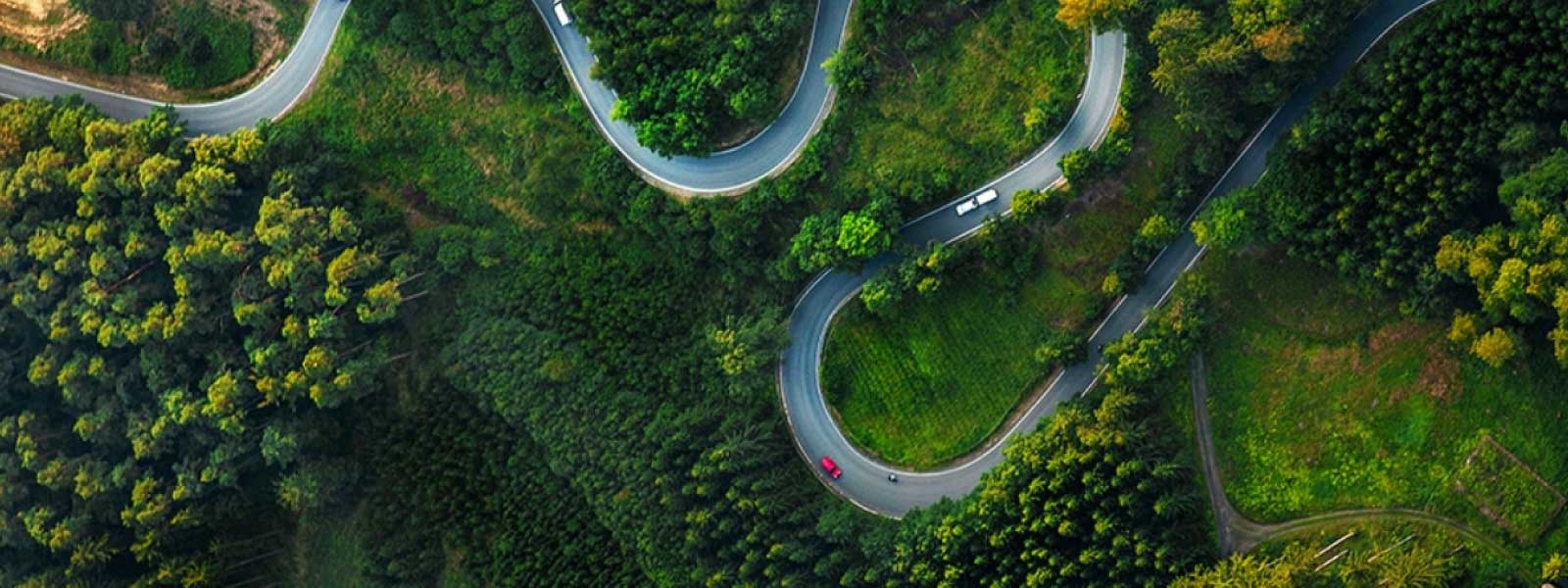 Winding road in the forest aerial shot