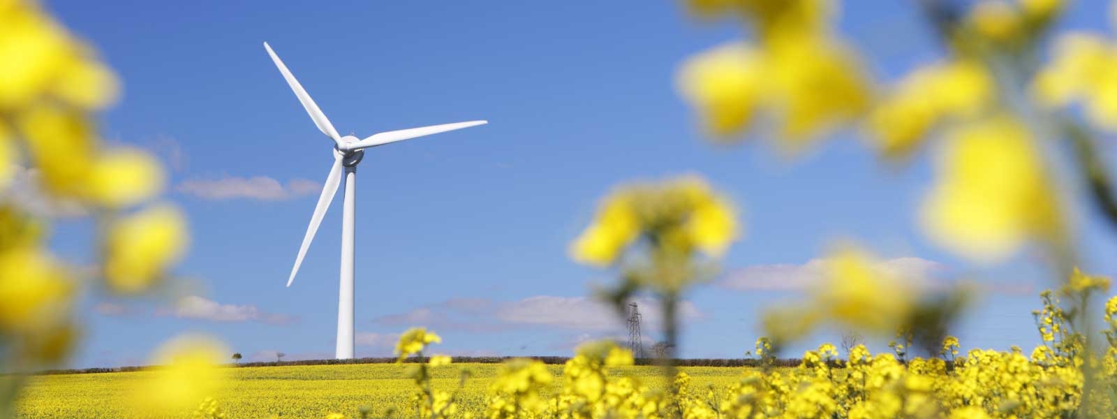 Wind turbine with flower field