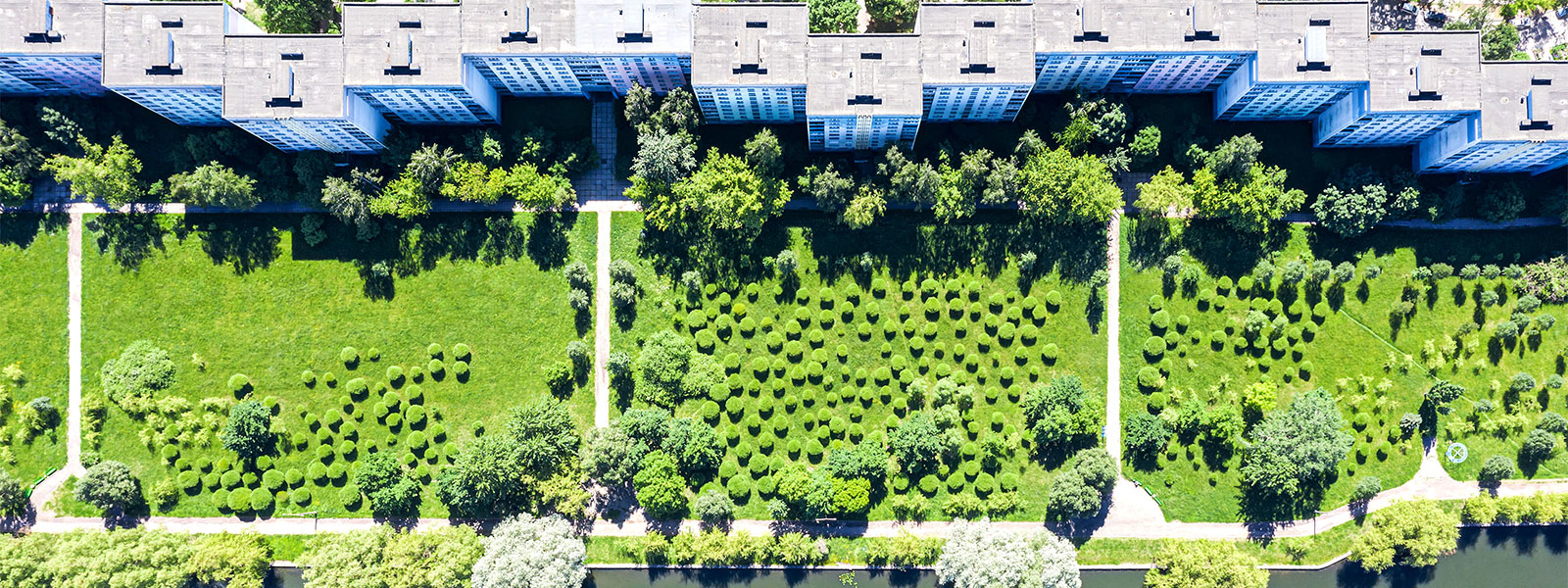 buildings and garden