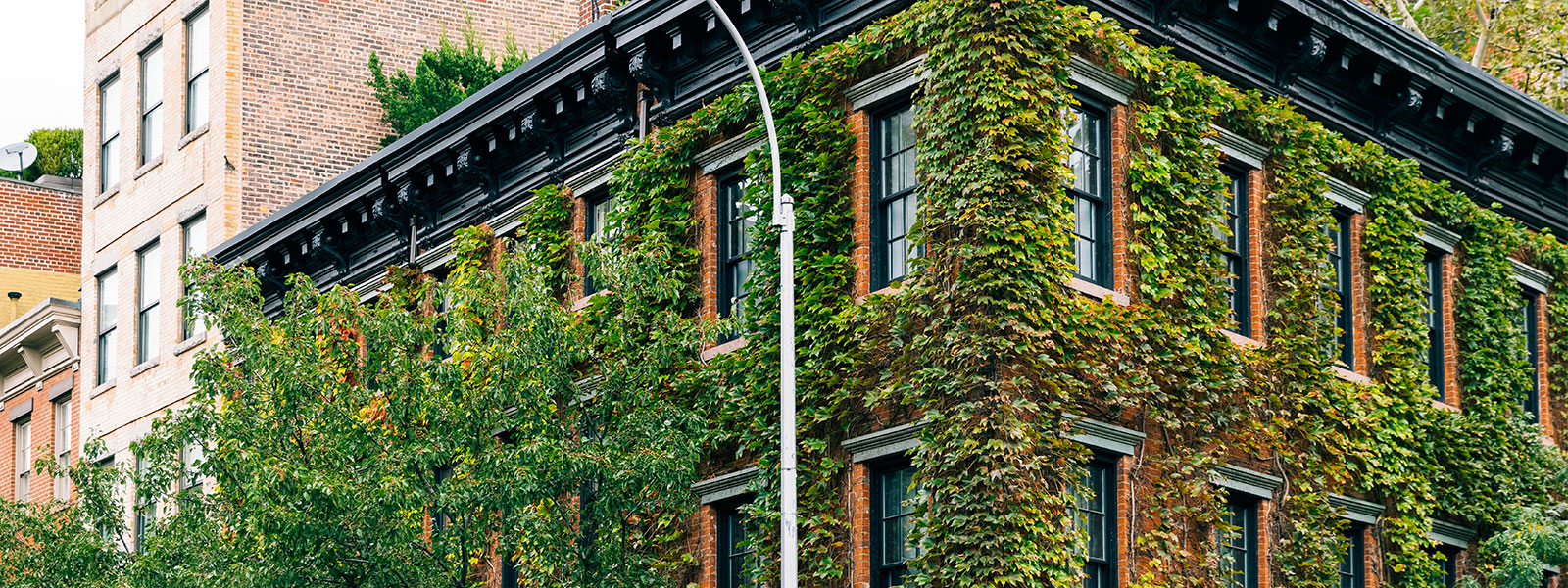 west village ivy building