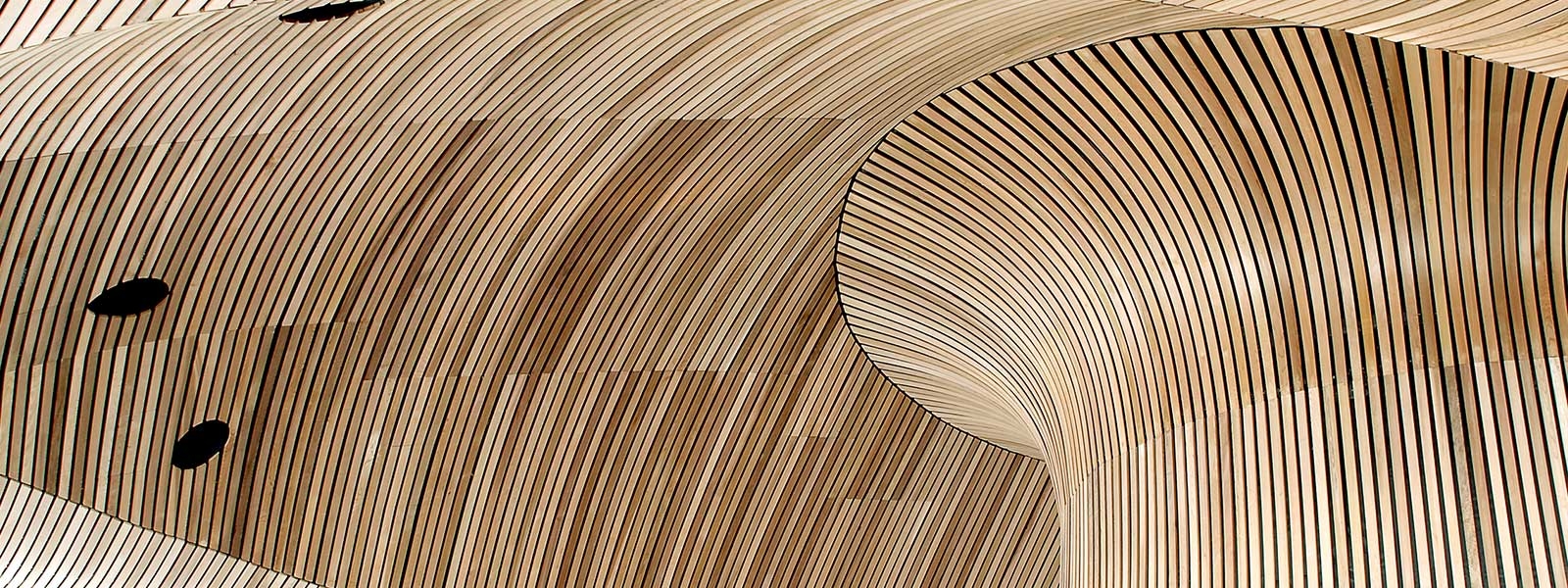 Carbon architecture