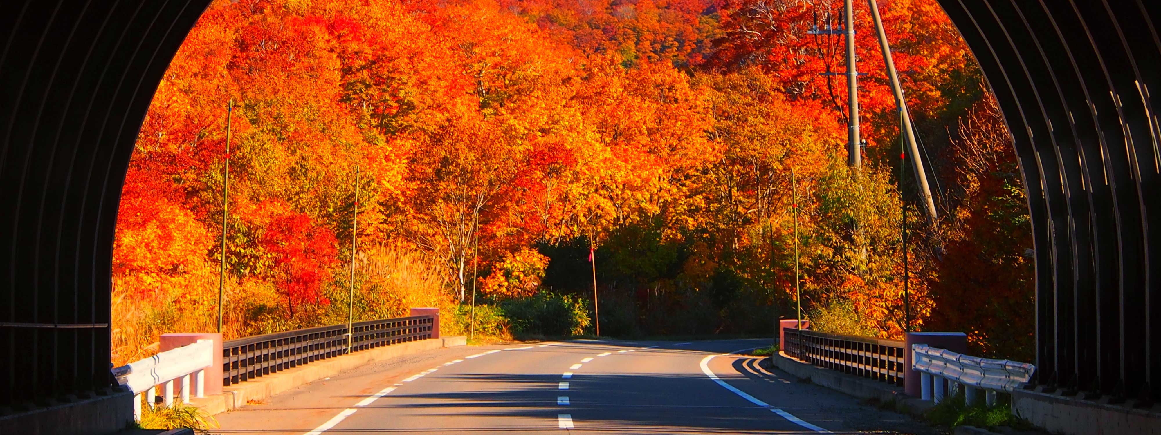 Autumn colors from inside of tunnel