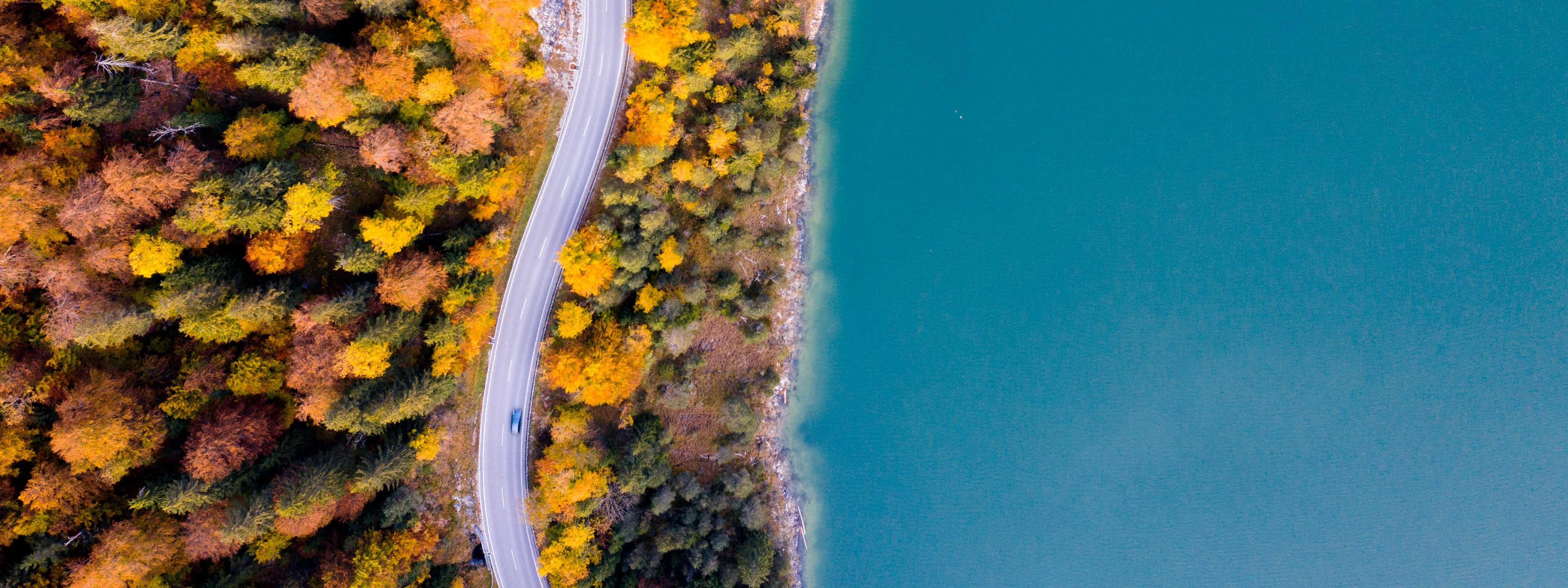 aerial view of road in autumn forest and blue sea