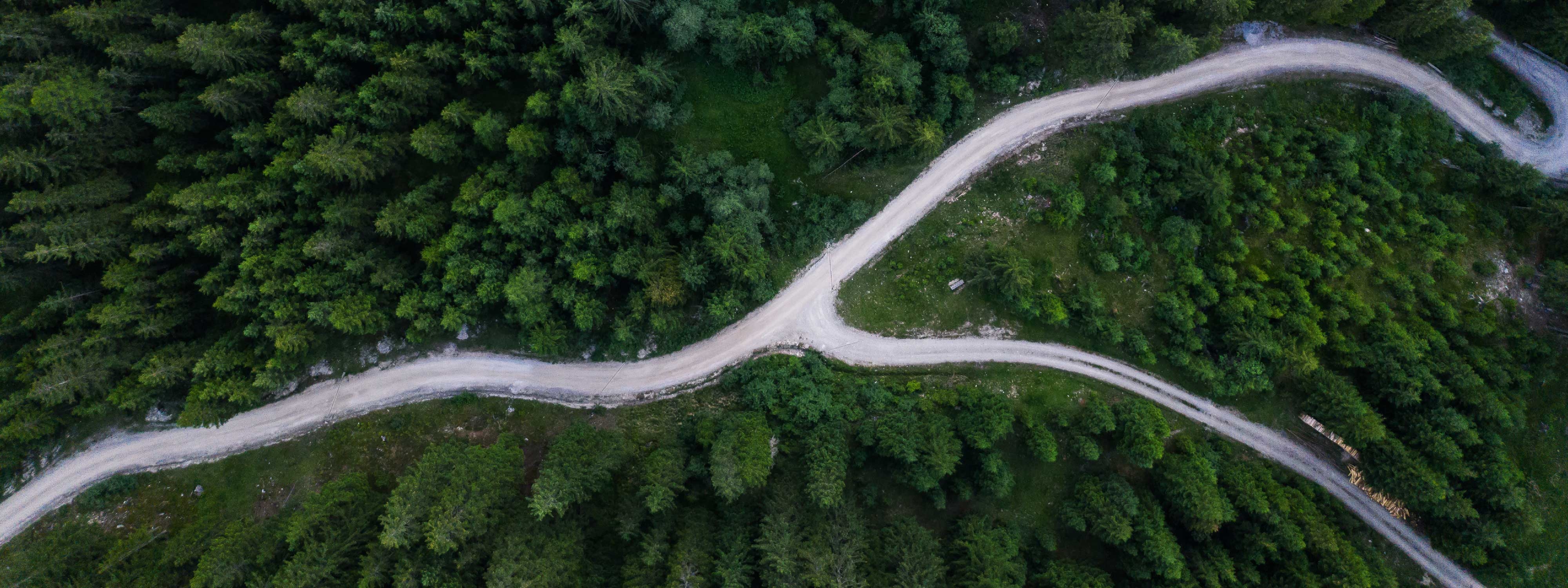 aerial view of forest roads