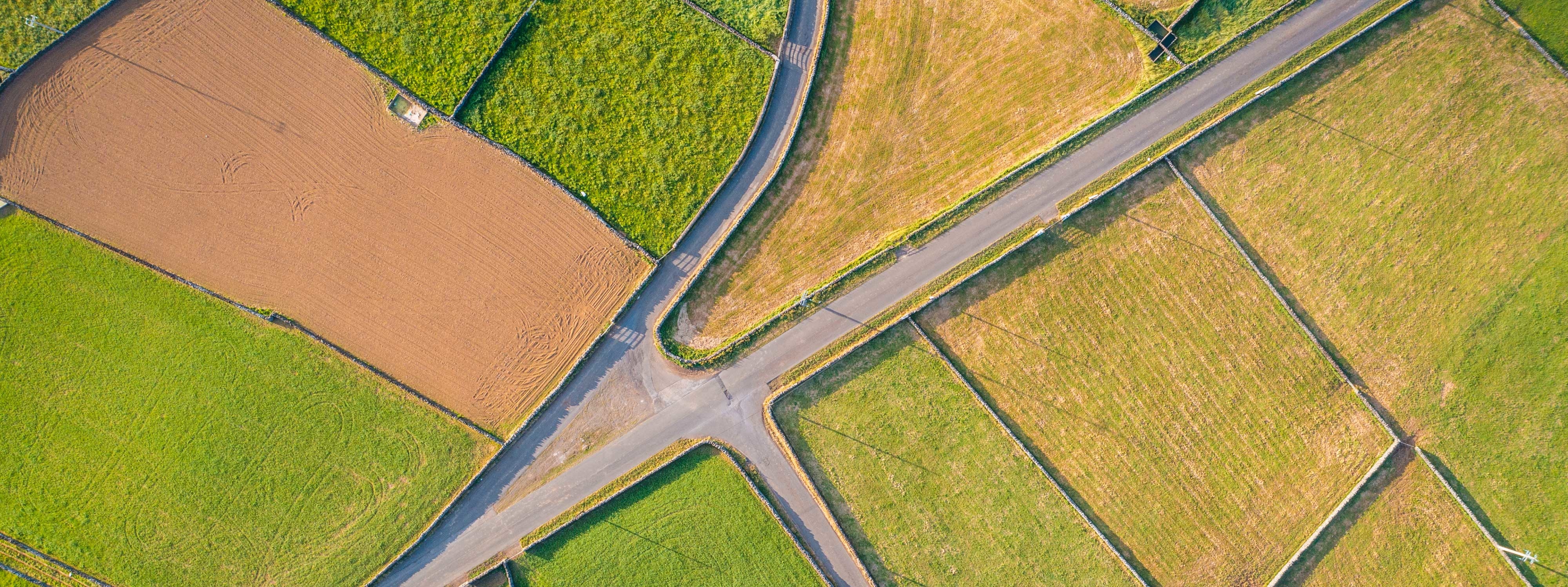 aerial view of road and fields