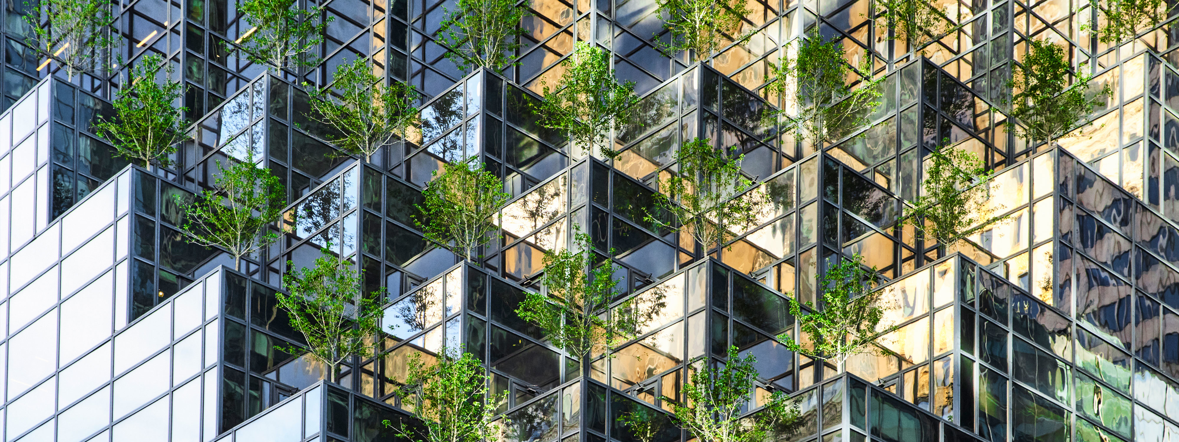 building with trees