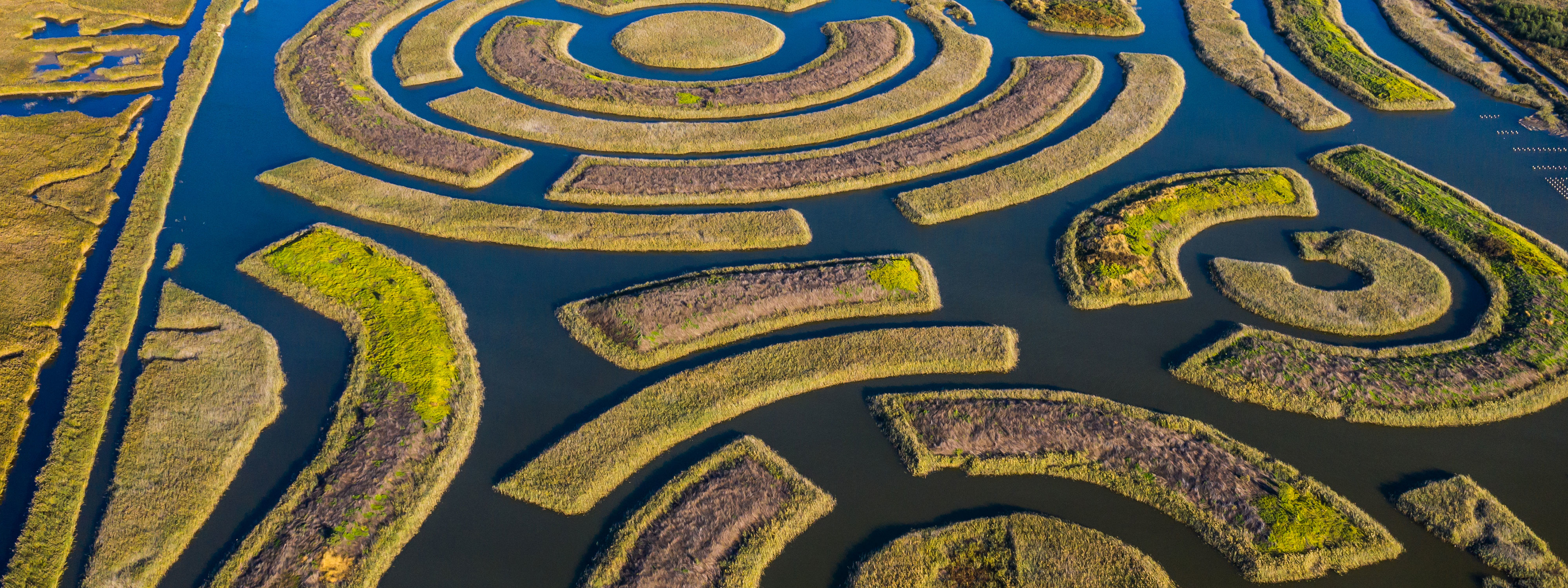 maze aerial view