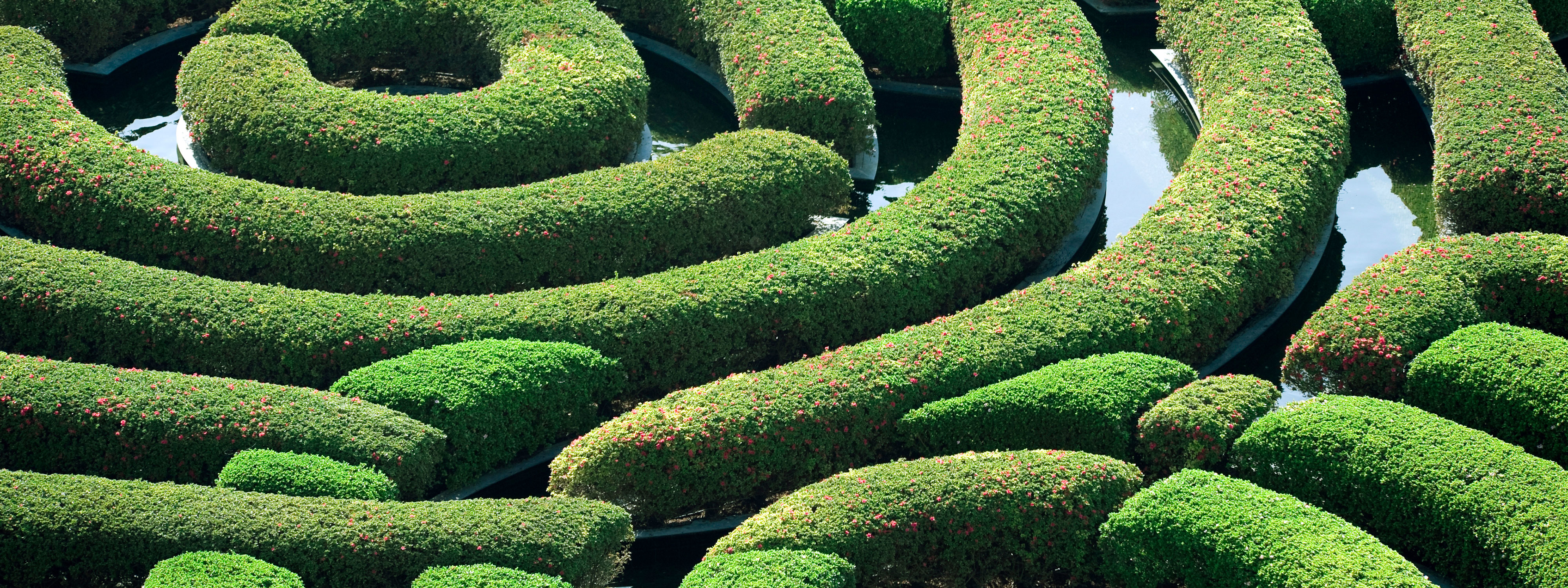 labyrinth garden