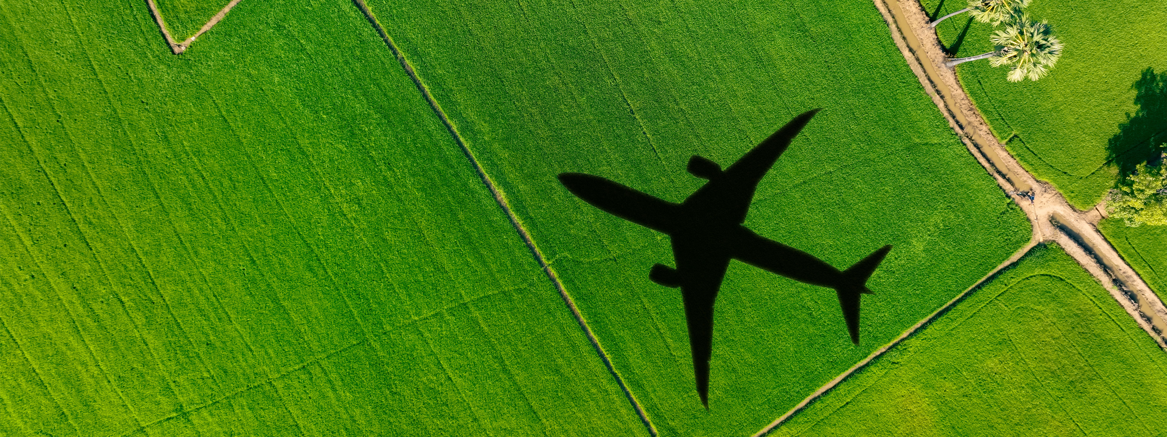 Shadow of an airplane cast on a grassy field