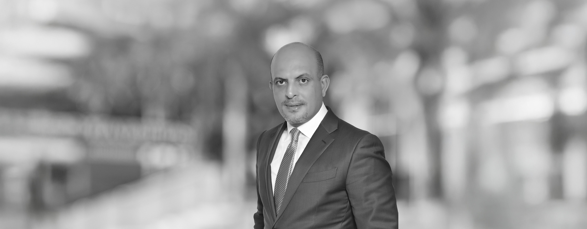 Sami E. Al-Louzi